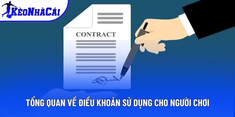 Tổng quan về điều khoản sử dụng cho người chơi