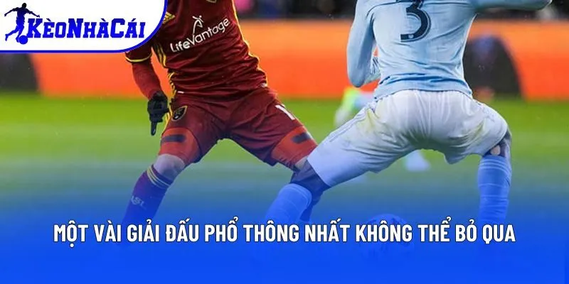 Một vài giải đấu phổ thông nhất không thể bỏ qua Một vài giải đấu phổ thông nhất không thể bỏ qua