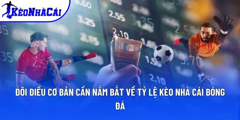 Đôi điều cơ bản cần nắm bắt về tỷ lệ kèo nhà cái bóng đá Đôi điều cơ bản cần nắm bắt về tỷ lệ kèo nhà cái bóng đá